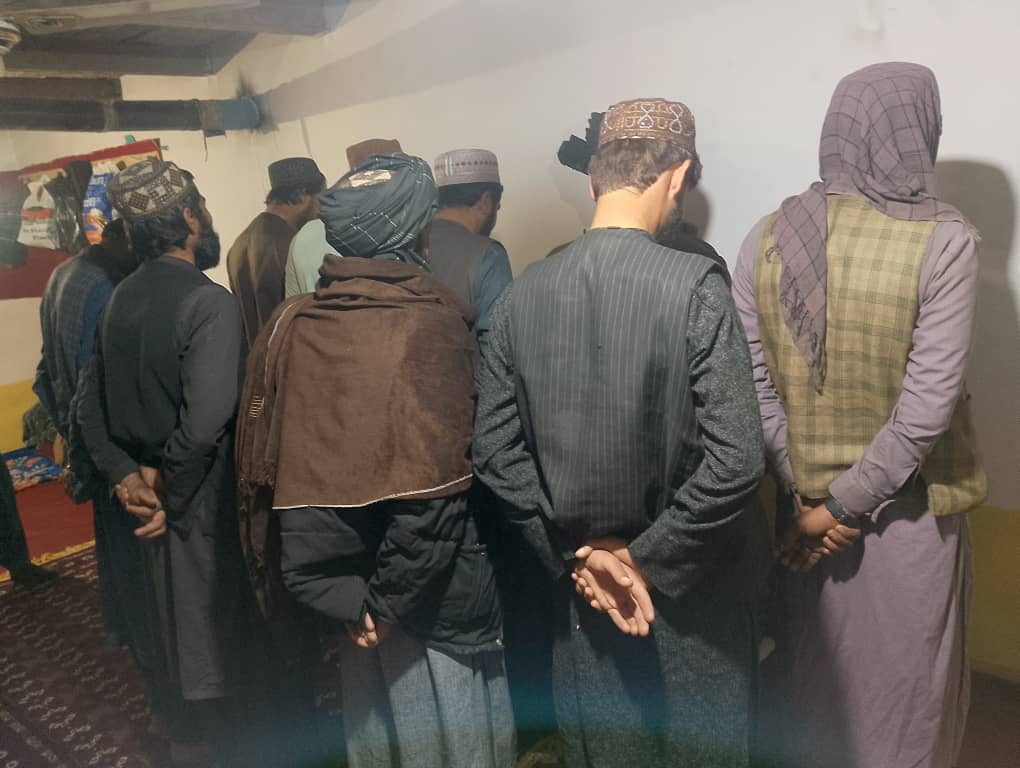 11 detained over illegal bird hunting in Ghazni