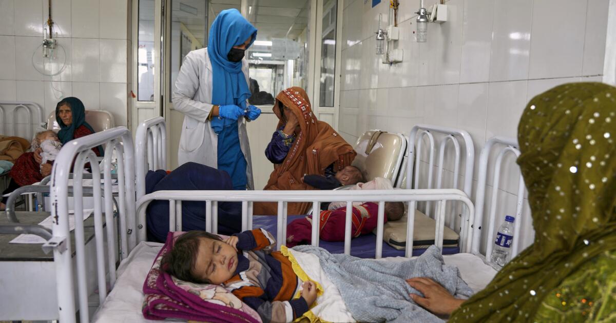 Afghanistan&rsquo;s child deaths are rising as food distributions face cuts, U.N. says