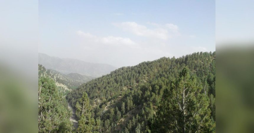 Tribal Clashes Over Mountain Ownership Enter 4th Day Along Khost-Paktika Border